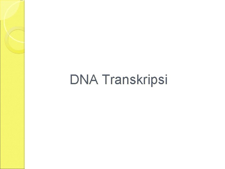 DNA Transkripsi 