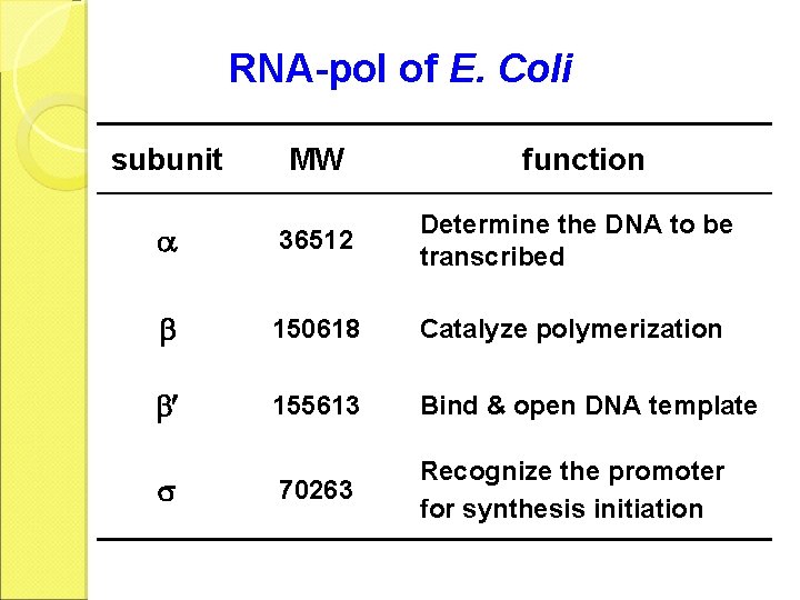 RNA-pol of E. Coli subunit MW function 36512 Determine the DNA to be transcribed