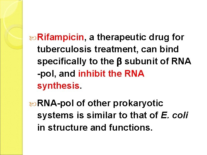 Rifampicin, a therapeutic drug for tuberculosis treatment, can bind specifically to the subunit