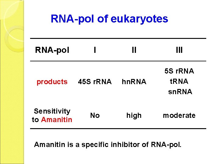 RNA-pol of eukaryotes RNA-pol I II III products 45 S r. RNA hn. RNA