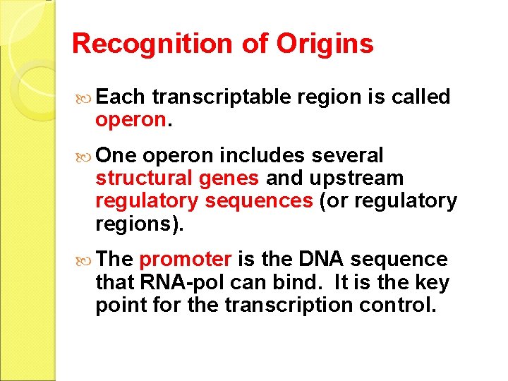 Recognition of Origins Each transcriptable region is called operon. One operon includes several structural