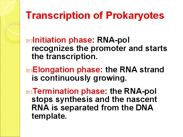 Transcription of Prokaryotes Initiation phase: RNA-pol recognizes the promoter and starts the transcription. Elongation