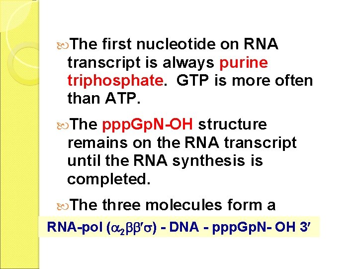  The first nucleotide on RNA transcript is always purine triphosphate. GTP is more