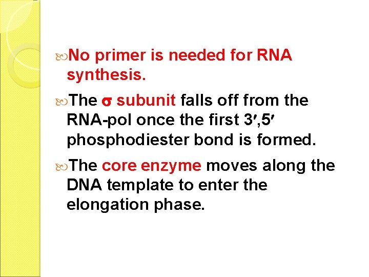  No primer is needed for RNA synthesis. subunit falls off from the RNA-pol