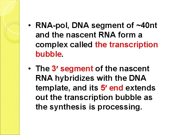  • RNA-pol, DNA segment of ~40 nt and the nascent RNA form a