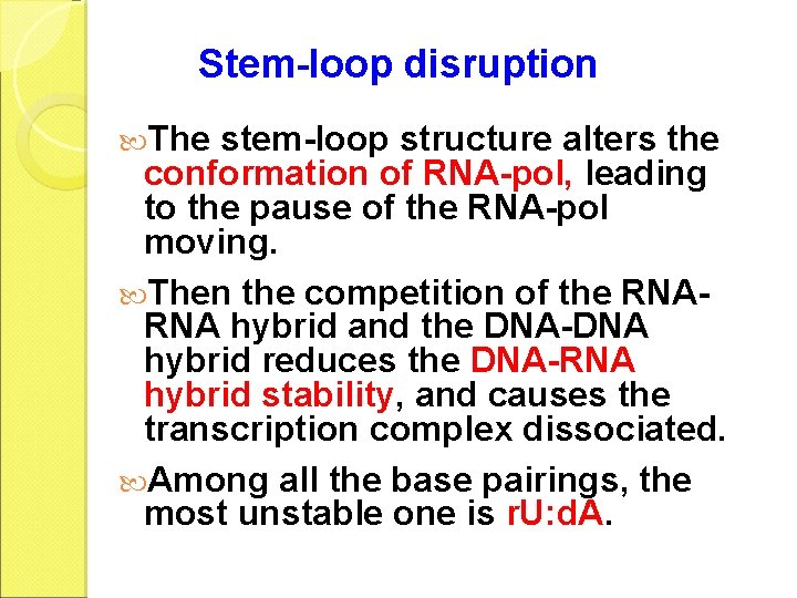 Stem-loop disruption The stem-loop structure alters the conformation of RNA-pol, leading to the pause