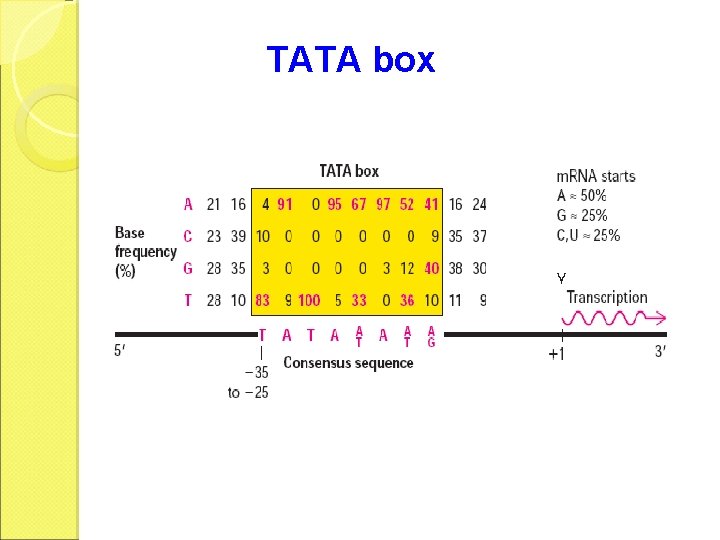 TATA box 