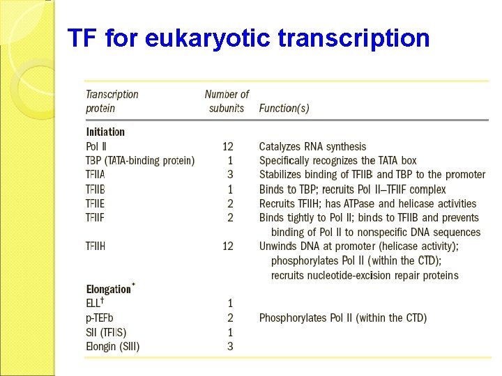 TF for eukaryotic transcription 