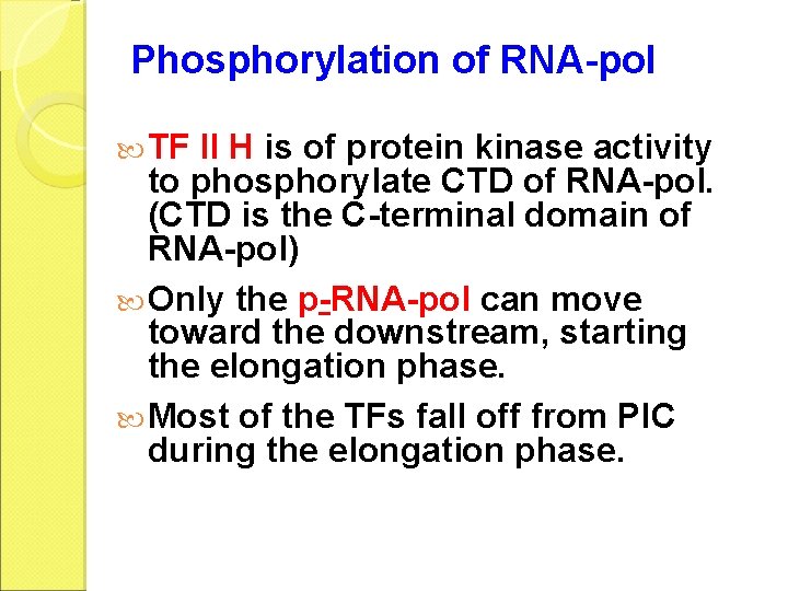 Phosphorylation of RNA-pol TF II H is of protein kinase activity to phosphorylate CTD