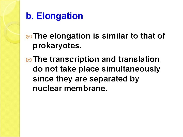 b. Elongation The elongation is similar to that of prokaryotes. The transcription and translation