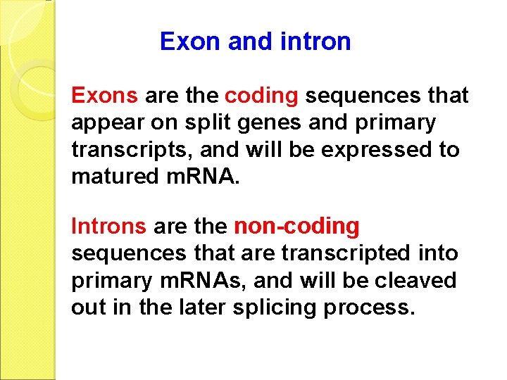Exon and intron Exons are the coding sequences that appear on split genes and
