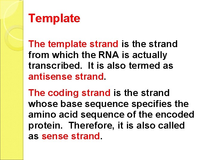 Template The template strand is the strand from which the RNA is actually transcribed.