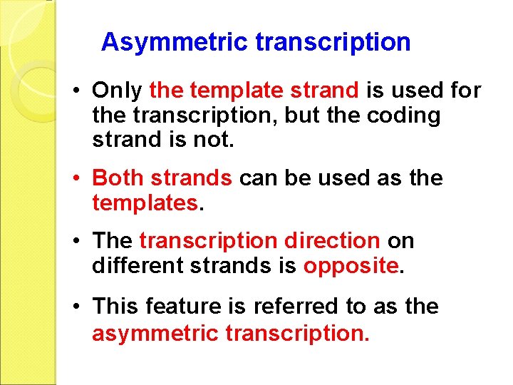 Asymmetric transcription • Only the template strand is used for the transcription, but the