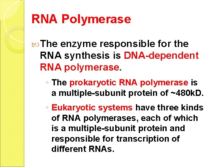 RNA Polymerase The enzyme responsible for the RNA synthesis is DNA-dependent RNA polymerase. ◦