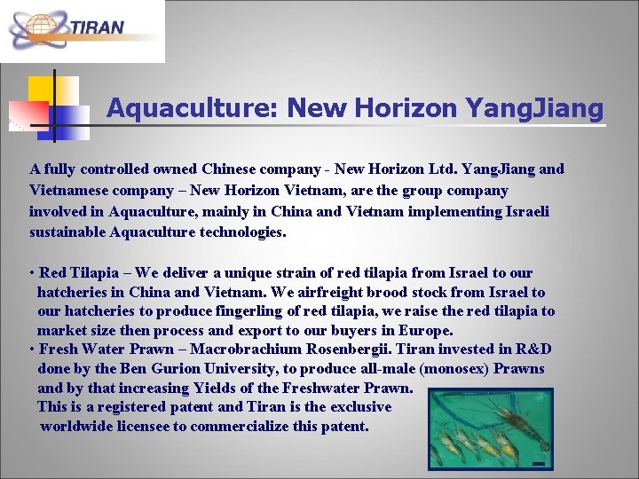 Aquaculture: New Horizon Yang. Jiang A fully controlled owned Chinese company - New Horizon Aquaculture: New Horizon Yang. Jiang A fully controlled owned Chinese company - New Horizon
