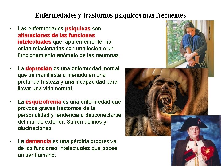 04 Enfermedades y trastornos psíquicos más frecuentes • Las enfermedades psíquicas son alteraciones de