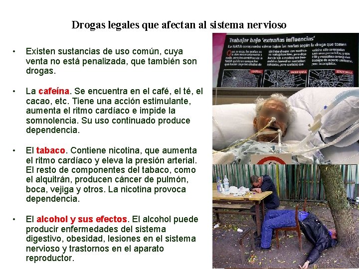 Drogas legales que afectan al sistema nervioso • Existen sustancias de uso común, cuya