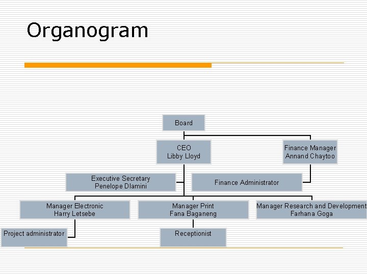 Organogram Board CEO Libby Lloyd Executive Secretary Penelope Dlamini Manager Electronic Harry Letsebe Project