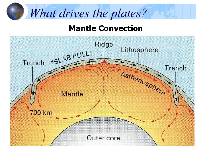 What drives the plates? Mantle Convection What drives the plates? Mantle Convection