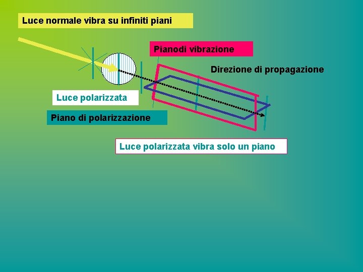Luce normale vibra su infiniti piani Pianodi vibrazione Direzione di propagazione Luce polarizzata Piano