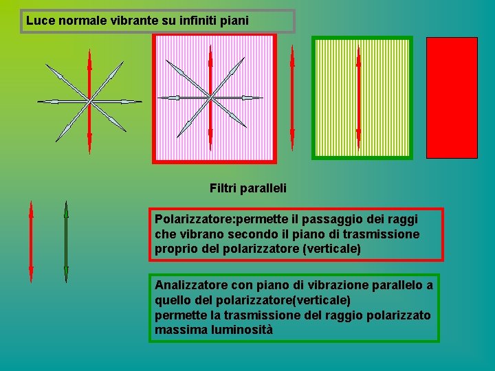 Luce normale vibrante su infiniti piani Filtri paralleli Polarizzatore: permette il passaggio dei raggi
