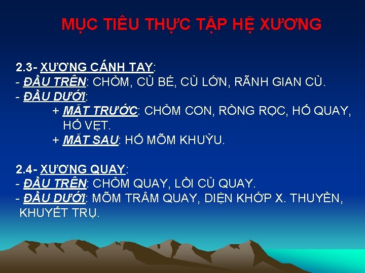 MỤC TIÊU THỰC TẬP HỆ XƯƠNG 2. 3 - XƯƠNG CÁNH TAY: - ĐẦU