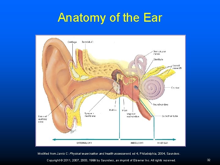 Anatomy of the Ear Modified from Jarvis C: Physical examination and health assessment, ed