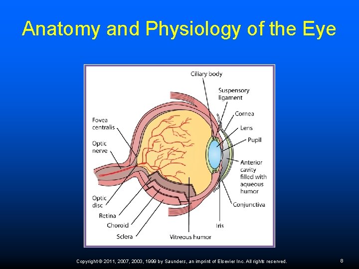 Anatomy and Physiology of the Eye Copyright © 2011, 2007, 2003, 1999 by Saunders,