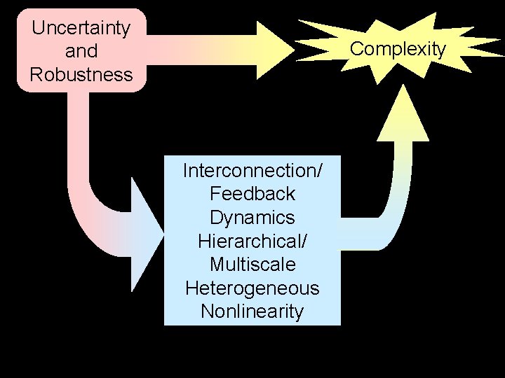 Uncertainty and Robustness Complexity Interconnection/ Feedback Dynamics Hierarchical/ Multiscale Heterogeneous Nonlinearity 