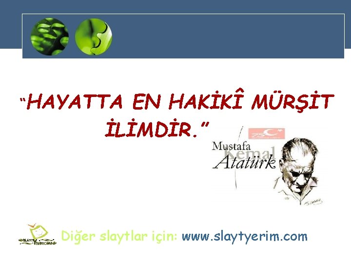 “HAYATTA EN HAKİKÎ MÜRŞİT İLİMDİR. ” Diğer slaytlar için: www. slaytyerim. com 