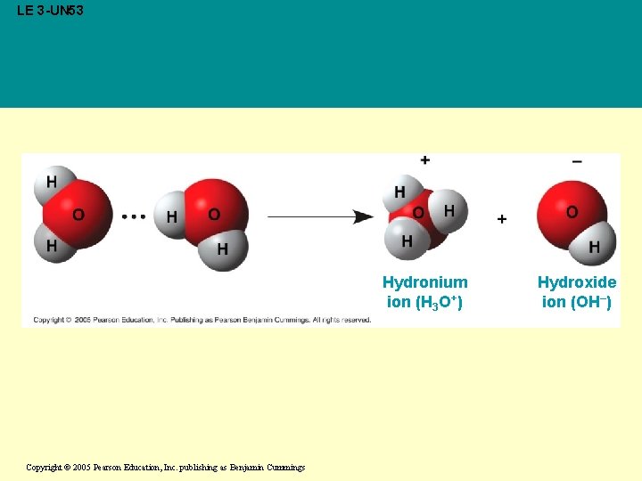 LE 3 -UN 53 Hydronium ion (H 3 O+) Copyright © 2005 Pearson Education,