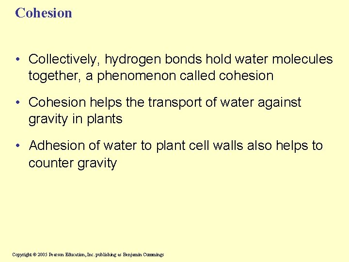 Cohesion • Collectively, hydrogen bonds hold water molecules together, a phenomenon called cohesion •