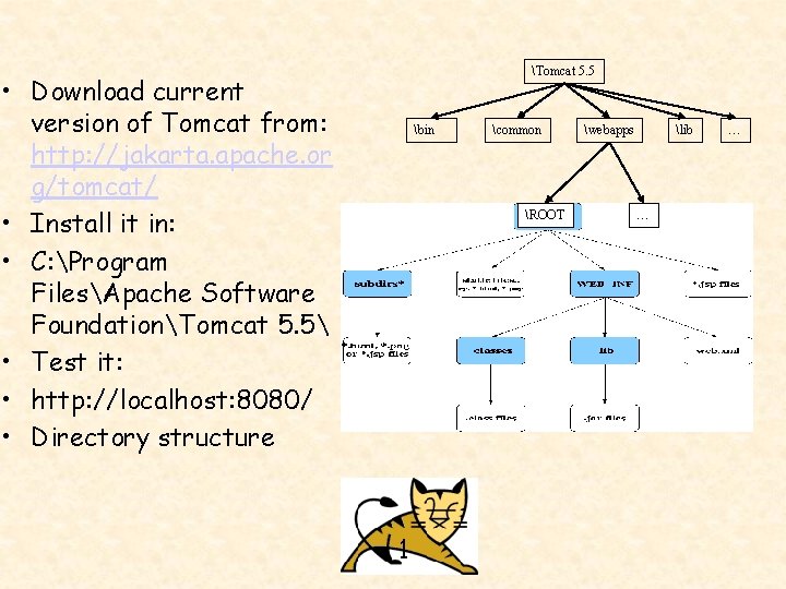 Tomcat 5. 5 • Download current version of Tomcat from: http: //jakarta. apache. or