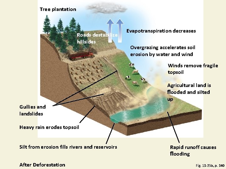 Tree plantation Roads destabilize hillsides Evapotranspiration decreases Overgrazing accelerates soil erosion by water and