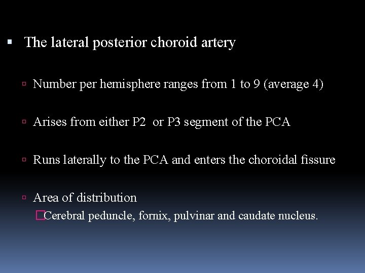  The lateral posterior choroid artery Number per hemisphere ranges from 1 to 9