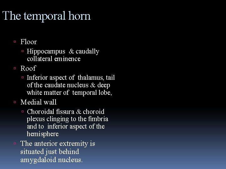 The temporal horn Floor Hippocampus & caudally collateral eminence Roof Inferior aspect of thalamus,