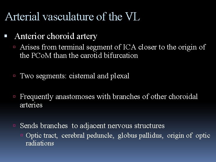 Arterial vasculature of the VL Anterior choroid artery Arises from terminal segment of ICA