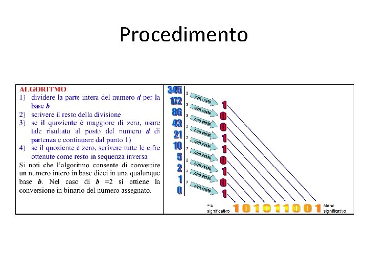 Procedimento 