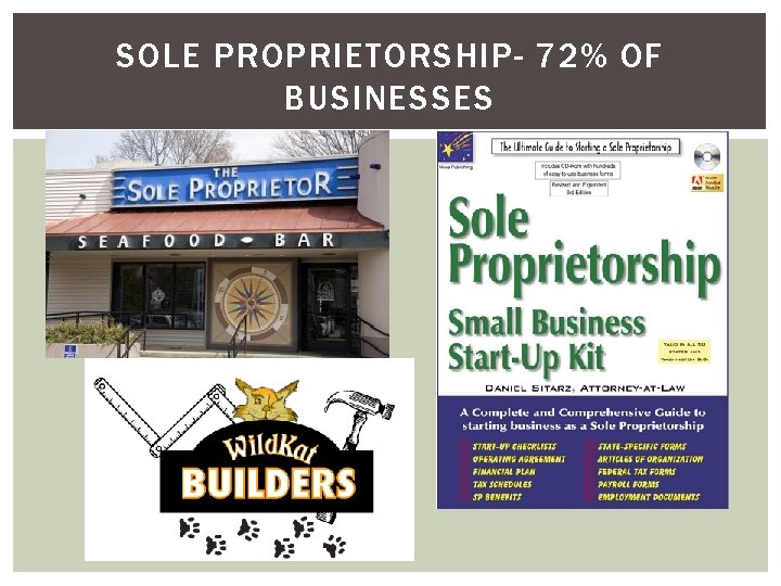 SOLE PROPRIETORSHIP- 72% OF BUSINESSES 