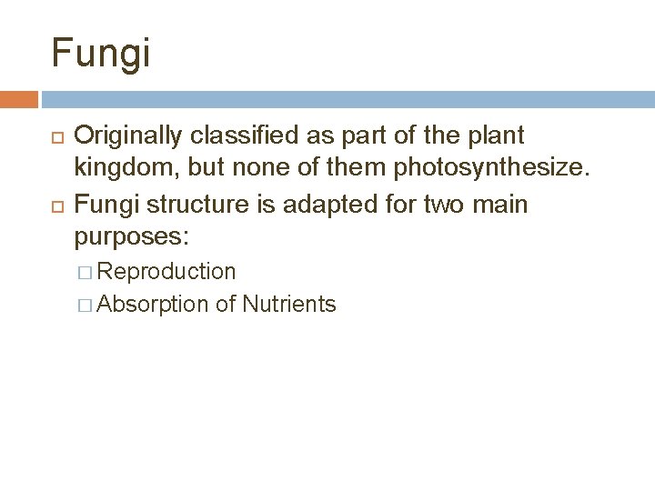 Fungi Originally classified as part of the plant kingdom, but none of them photosynthesize.