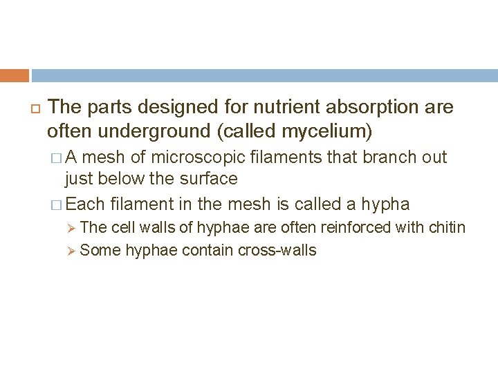  The parts designed for nutrient absorption are often underground (called mycelium) �A mesh