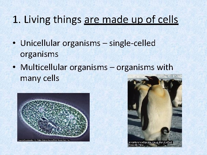1. Living things are made up of cells • Unicellular organisms – single-celled organisms