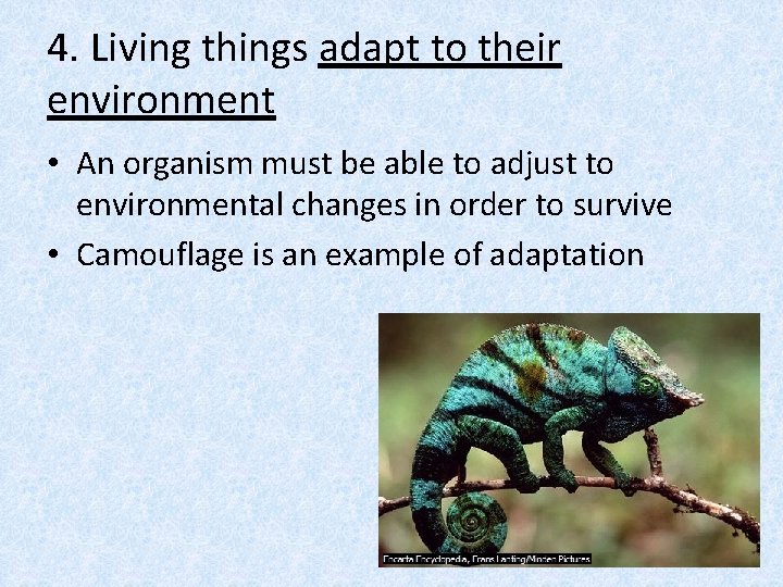 4. Living things adapt to their environment • An organism must be able to