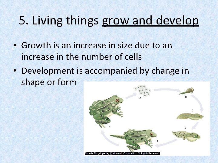 5. Living things grow and develop • Growth is an increase in size due