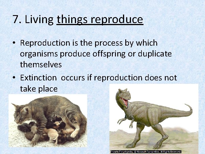 7. Living things reproduce • Reproduction is the process by which organisms produce offspring