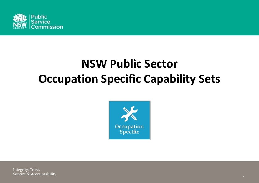 NSW Public Sector Occupation Specific Capability Sets 1 