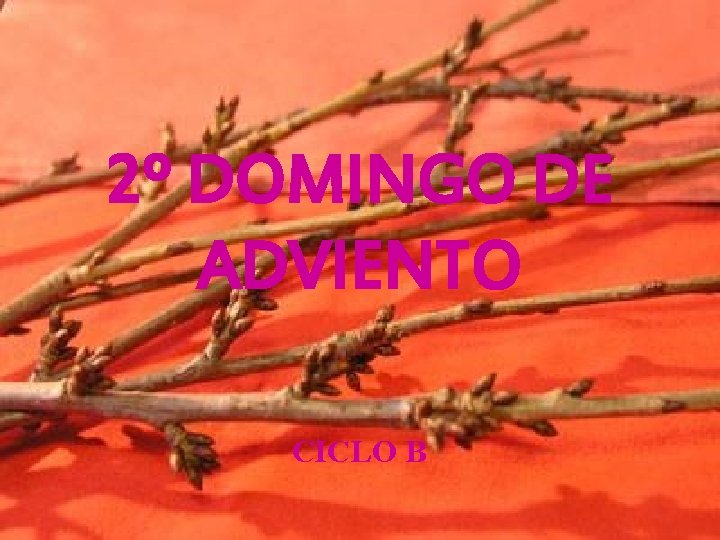 2º DOMINGO DE ADVIENTO CICLO B 