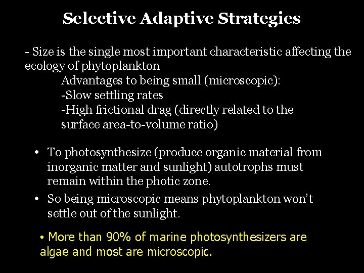 Selective Adaptive Strategies - Size is the single most important characteristic affecting the ecology