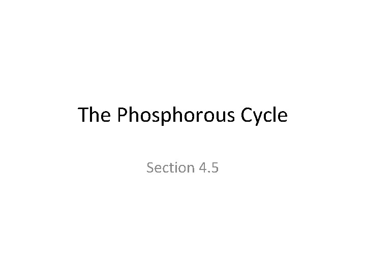 The Phosphorous Cycle Section 4. 5 