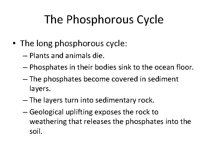 The Phosphorous Cycle • The long phosphorous cycle: – Plants and animals die. –